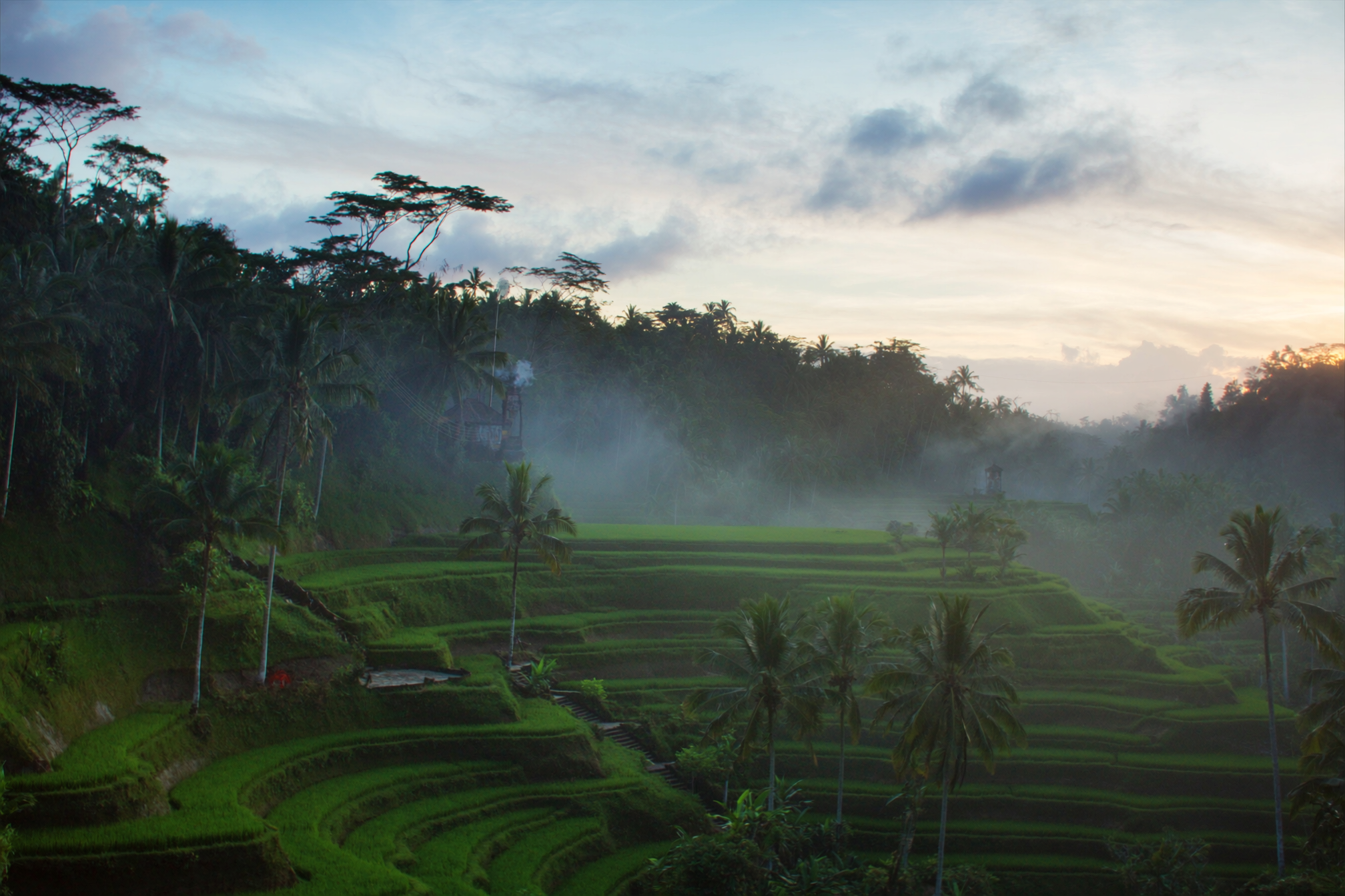 Ubud — cultural and wellness